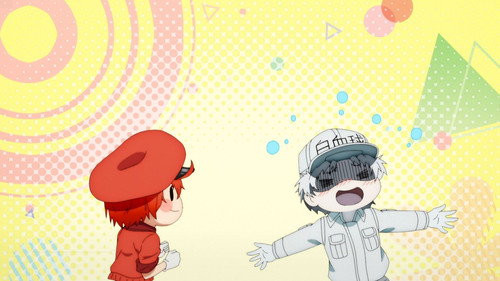 Hataraku Saibou 2