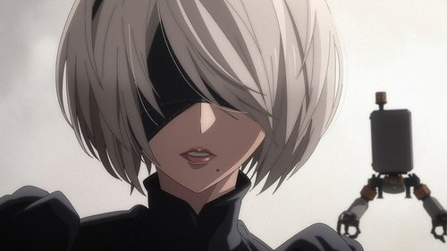 NieRAutomata