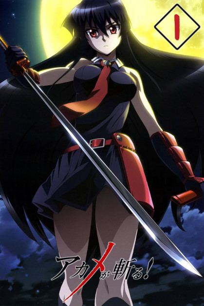 Akame ga Kill!: AkaKill! Gekijou