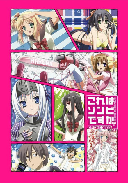 Kore wa Zombie Desu ka? of the Dead