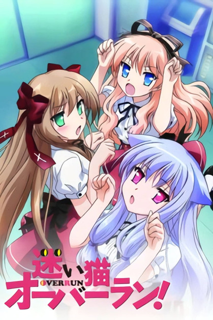 Mayoi Neko Overrun! Especiales
