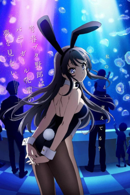 Seishun Buta Yarou wa Bunny Girl-senpai no Yume wo Minai Rascal Does Not Dream of Santa Claus