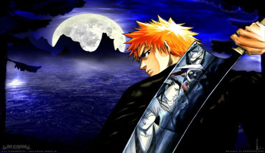 Bleach: Memories in the Rain