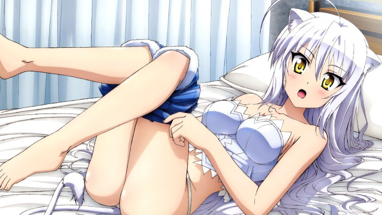 Dog Days 3