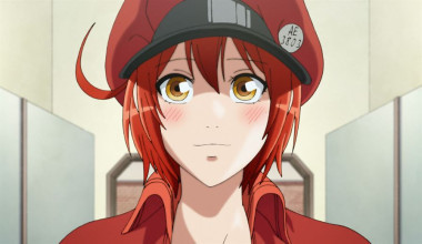 Hataraku Saibou Especiales