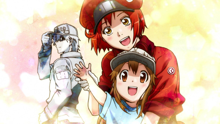 Hataraku Saibou Especiales