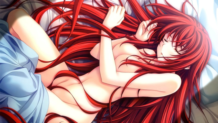 High School DxD Hero
