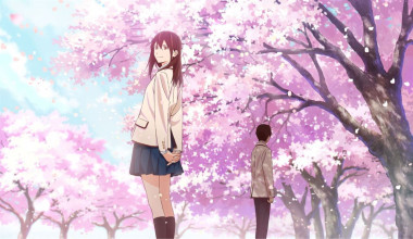 Kimi no Suizou wo Tabetai (Castellano)