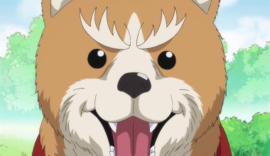 Oda Cinnamon Nobunaga