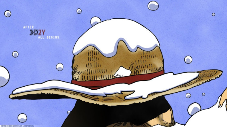One Piece 3D2Y