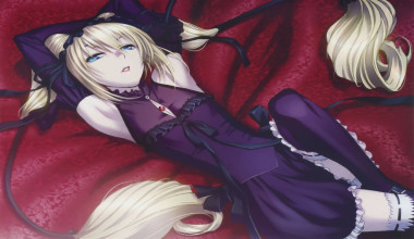 Seikon no Qwaser Picture Drama