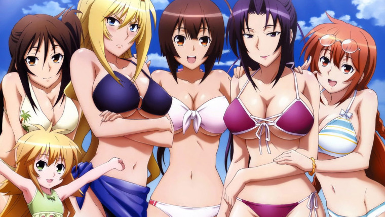 Sekirei: Pure Engagement