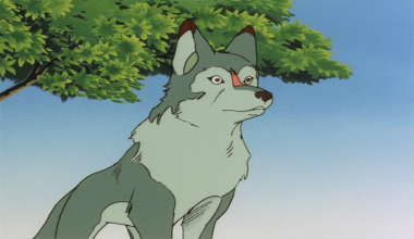 Shiroi Kiba White Fang Monogatari (Shiroi Kiba - La historia de Colmillo Blanco)