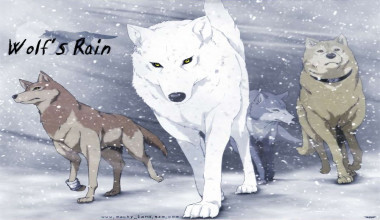 Wolf's Rain capitulo 26